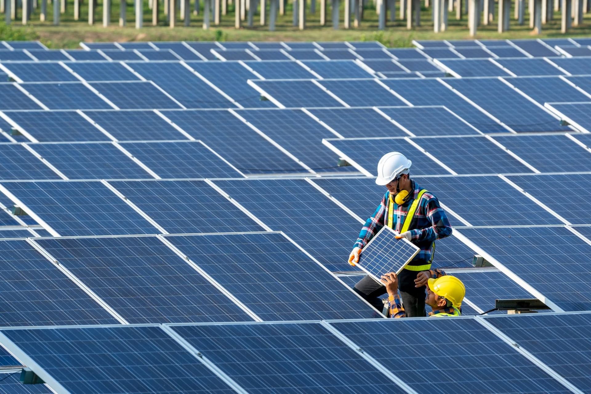 Supporting Global Growth for a Chinese Solar Manufacturer